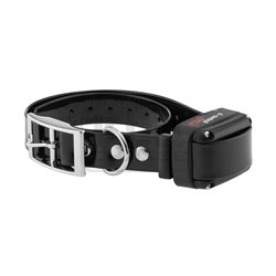 Collier de dressage Dogtrace d-control 600 plus