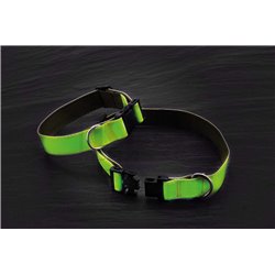 Collier luminescent pour chien - Country