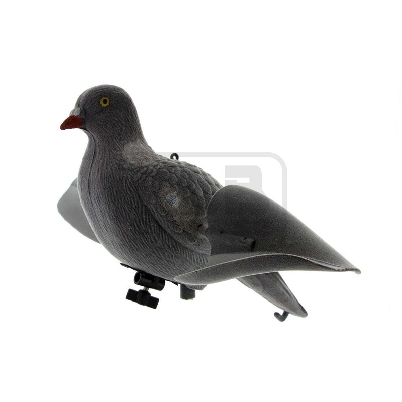 Appelant pigeon ailes tournantes