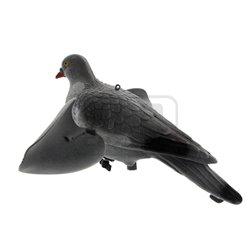 Appelant pigeon ailes tournantes