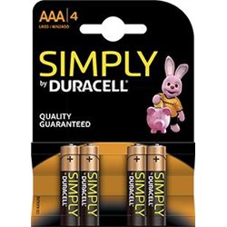 Piles alcalines AAA LR03 1,5 volt - Duracell